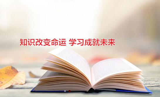 網(wǎng)站建設(shè)需要哪些費用？